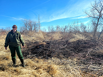 A USACE park ranger stands next to a pile of tamarisk that was removed from the Black Bridge Recreation Area, Feb. 12, 2022.